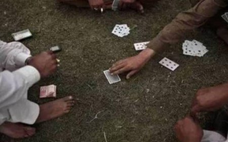 झाड़ियों में सज रही थी जुए की महफिल! सिकंदरा पुलिस के छापे में 4 गिरफ्तार, नकदी बरामद