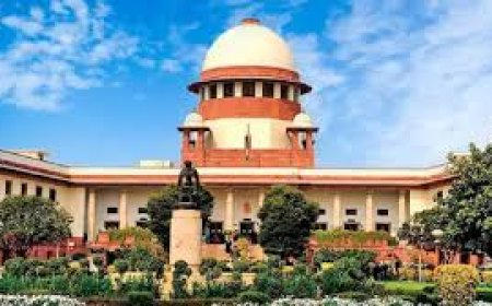 मीनाक्षी नटराजन की याचिका पर सुप्रीम सुनवाई 12 को, राज्यसभा नामांकन रद्द किए जाने को चुनौती, आज ही आएगा रिजल्ट