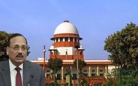 सीजेआई  सूर्यकांत ने अब साइबर ठगों को सुनाई खरी-खोटी,  बोले- तुम लोग परजीवी हो,  जेल में रहना ही समाज के हित में