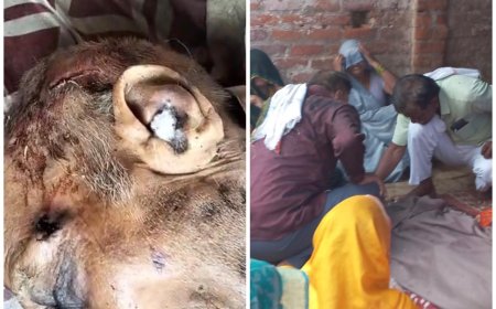 पिनाहट में 90 वर्षीय वृद्ध का त्रिपाल में लिपटा मिला शव, हत्या की अफवाह