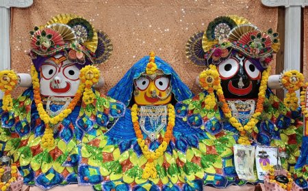 स्नान पूर्णिमा पर श्रीजगन्नाथ जी के कल गजानन स्वरूप में दर्शन, श्रीमथुराधीश जी मंदिर में जलधारा अभिषेक और श्रीप्रेमनिधि मंदिर में यमुना जल से महास्नान