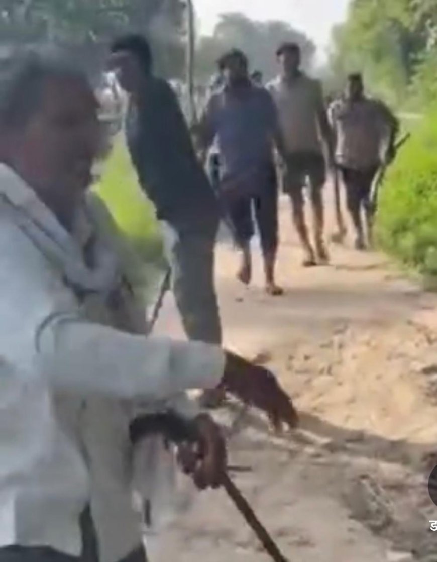 खेत की मेड़ पर खूनी बवाल, तमंचा लहराकर की फायरिंग, वीडियो वायरल