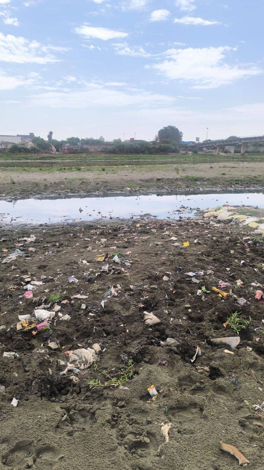 रिवर कनेक्ट कैंपेन का सवाल- क्या यमुना जी से हमारा मोह भंग हो गया है?