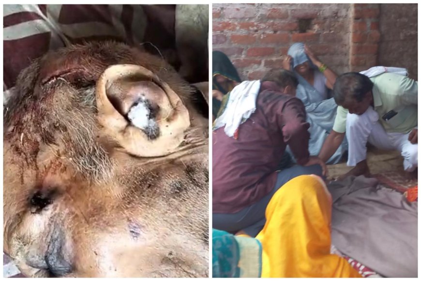 पिनाहट में 90 वर्षीय वृद्ध का त्रिपाल में लिपटा मिला शव, हत्या की अफवाह
