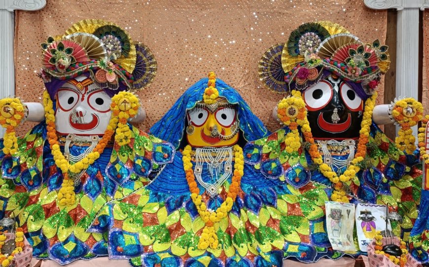 स्नान पूर्णिमा पर श्रीजगन्नाथ जी के कल गजानन स्वरूप में दर्शन, श्रीमथुराधीश जी मंदिर में जलधारा अभिषेक और श्रीप्रेमनिधि मंदिर में यमुना जल से महास्नान