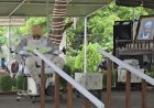 गुरु पूर्णिमा पर दयालबाग भक्ति में सराबोर, सत्संग, कृषि सेवा और सांस्कृतिक प्रस्तुतियों से गूंजा पूरा परिसर