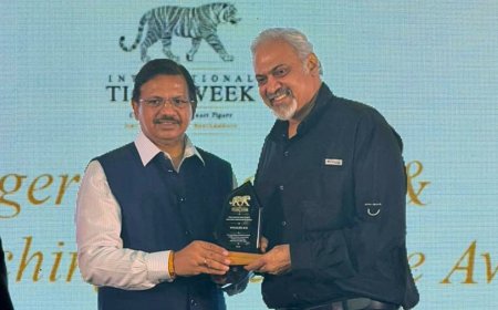 तीन दशक की मुहिम को मिला बड़ा सम्मान: वाइल्डलाइफ एसओएस को मिला प्रतिष्ठित 'टाइगर प्रोटेक्शन एंड एंटी-पोचिंग एक्सीलेंस अवॉर्ड'