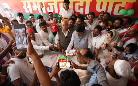 अखिलेश यादव के जन्मदिन पर रक्तदान, विधवा आश्रम में सम्मान और वृक्षारोपण के जरिए सपा ने दिया सेवा का संदेश