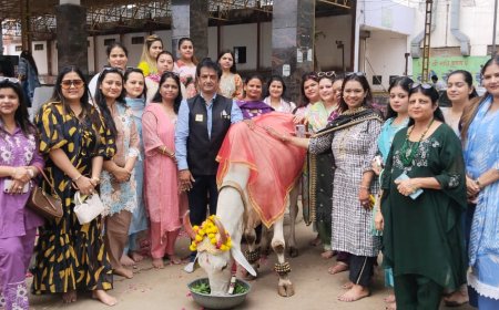गौ सेवा से लायंस क्लब फ्लेमिंगो के नए सत्र का शुभारंभ, छप्पन भोग अर्पित कर समाज सेवा का लिया संकल्प