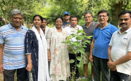 पालीवाल पार्क से 'हरित आगरा अभियान' का आगाज, महापौर ने लगाया दुर्लभ देशी अंकोल का पौधा; ग्रीन आगरा मिशन को मिली नई दिशा