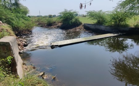 बारिश में फसलों को डुबो रहा आगरा का एक चेक डैम, ब्लॉक प्रमुख ने जल निकासी गेट लगाने की उठाई मांग