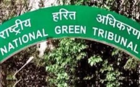 फतेहपुर सीकरी की ऐतिहासिक झील और पहाड़ियों पर एनजीटी सख्त, यूपी सरकार समेत आठ पक्षों को नोटिस; संरक्षण की लड़ाई को मिली बड़ी कानूनी बढ़त