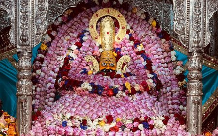 योगिनी एकादशी पर भक्ति का महासंगम: कहीं कमल पुष्पों से सजे श्याम बाबा, तो कहीं गौ सेवा से गूंजा जगन्नाथ महोत्सव, प्रवचन श्रृंखला में श्रीगणेश महिमा का वर्णन