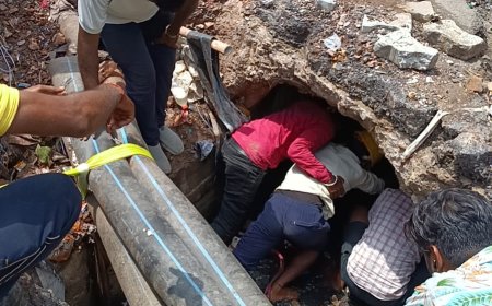 आगरा में सात घंटे तक नाले में तड़पती रही गर्भवती गाय, सूचना देने के बाद भी नगर निगम अधिकारियों के कानों पर जूं नहीं रेंगी, थक हारकर पार्षद किशन नायक ने नाले में खुद उतरकर सफाईकर्मियों की मदद से बचाई बेजुबान की जान