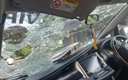 आगरा में चलती गाड़ी पर गिरा पेड़, पूर्व मंत्री चौधरी उदयभान सिंह समेत सभी बाल-बाल बचे, बड़ा हादसा टला