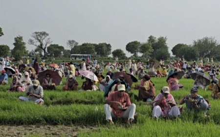 दयालबाग में श्रद्धा, सेवा और सत्संग के संग मनाया गया हुजूर डॉ. एम.बी. लाल साहब का भंडारा, देश-विदेश से उमड़े श्रद्धालु