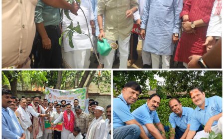 ‘एक पेड़ मां के नाम’ अभियान बना जनआंदोलन, जनप्रतिनिधियों और नागरिकों ने लिया हरियाली का संकल्प