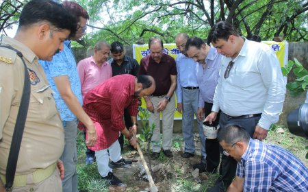 आगरा से फतेहपुर सीकरी तक पौधारोपण महाअभियान की धूम, सामाजिक संस्थाओं और सरकारी विभागों ने रोपे पौधे
