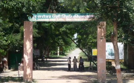 सूर सरोवर पक्षी विहार प्रकरण में वन विभाग की मनमानी से हुई सरकार की किरकिरी, अब तय हो रही अफसरों की जिम्मेदारी, आगरा की डीएफओ चांदनी सिंह को पहले ही हटाया जा चुका, सीईसी में डॉ. शरद गुप्ता ने सभी जिम्मेदार अधिकारियों की जांच की उठाई मांग, नए नोटिफिकेशन के लिए मिला आठ सप्ताह का समय