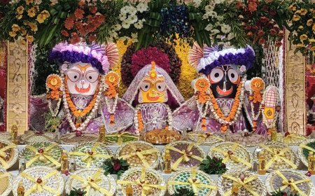 आस्था में डूबा आगरा: श्रीजगन्नाथ जी मंदिर पर सजा फूल बंगला, श्रीमथुराधीश और श्रीप्रेमनिधि मंदिर में रथयात्रा महोत्सव और श्रीहनुमान मंदिर में सुंदरकांड पाठ