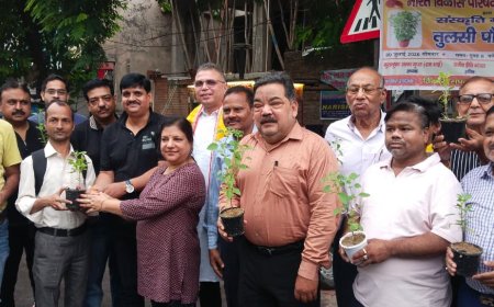 तुलसी के 101 पौधों से दिया हरियाली और सनातन संस्कृति का संदेश, अमृतम शाखा का जनजागरण अभियान