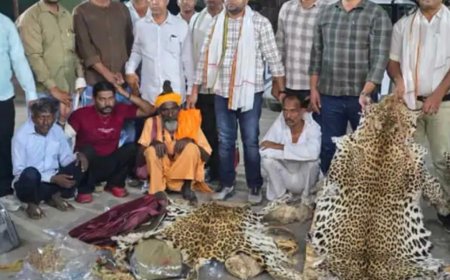 शिवपुरी में शिकार-आगरा में सौदा, 10 तेंदुओं की खाल के साथ अंतरराज्यीय वन्यजीव तस्कर गिरोह गिरफ्तार