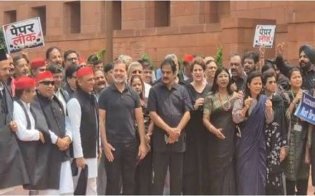 विपक्षी सांसदों ने सरकार के खिलाफ प्रदर्शन किया,  बल प्रयोग को लेकर गृह मंत्री से मांगा जवाब, जोरदार नारेबाजी