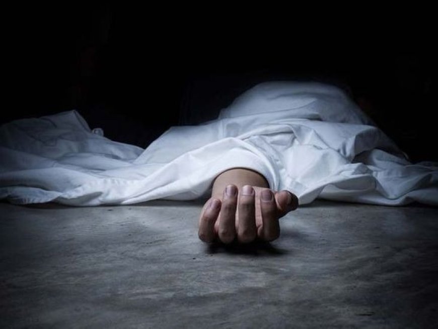 बरेली में जर्जर छज्जा गिरने से दादी-नातिन की दर्दनाक मौत, पेंसिल खरीदने गया मासूम बचा, अधूरा आवास आवेदन छोड़ गया कई सवाल   