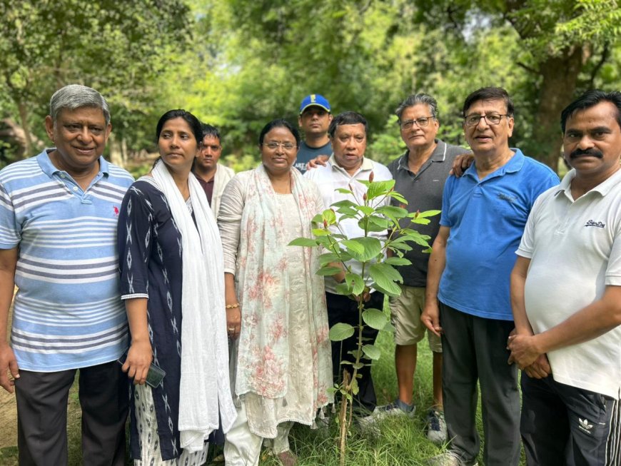 पालीवाल पार्क से 'हरित आगरा अभियान' का आगाज, महापौर ने लगाया दुर्लभ देशी अंकोल का पौधा; ग्रीन आगरा मिशन को मिली नई दिशा