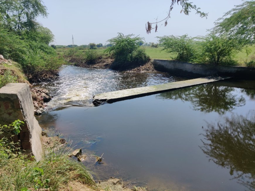 बारिश में फसलों को डुबो रहा आगरा का एक चेक डैम, ब्लॉक प्रमुख ने जल निकासी गेट लगाने की उठाई मांग