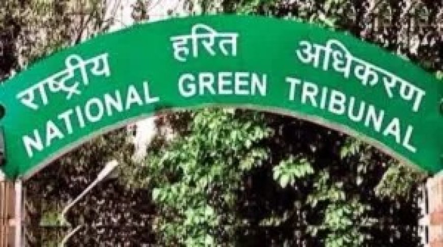 फतेहपुर सीकरी की ऐतिहासिक झील और पहाड़ियों पर एनजीटी सख्त, यूपी सरकार समेत आठ पक्षों को नोटिस; संरक्षण की लड़ाई को मिली बड़ी कानूनी बढ़त