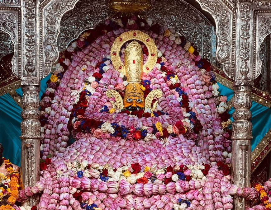 योगिनी एकादशी पर भक्ति का महासंगम: कहीं कमल पुष्पों से सजे श्याम बाबा, तो कहीं गौ सेवा से गूंजा जगन्नाथ महोत्सव, प्रवचन श्रृंखला में श्रीगणेश महिमा का वर्णन