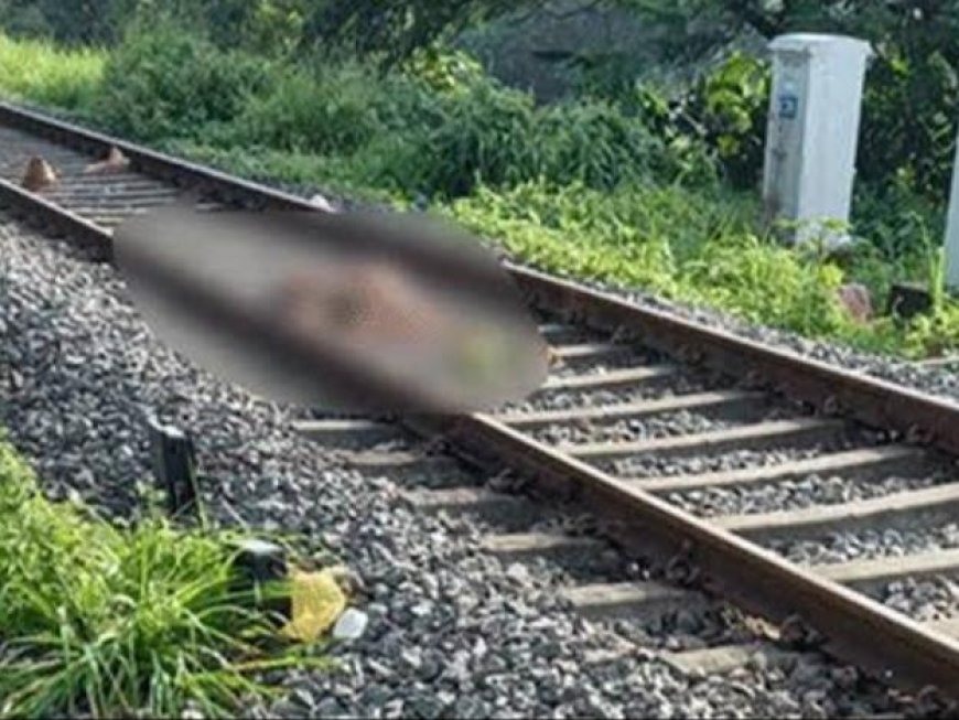 रेलवे ट्रैक पर दर्दनाक हादसा, मालगाड़ी की चपेट में आए डॉक्टर की मौके पर मौत