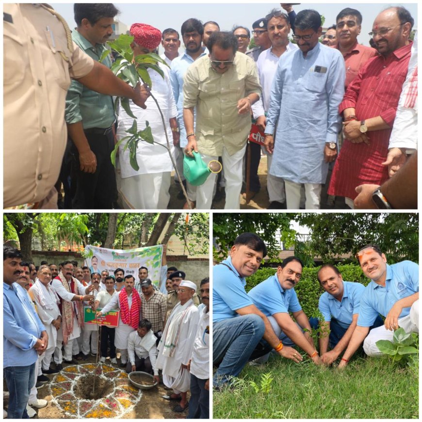 ‘एक पेड़ मां के नाम’ अभियान बना जनआंदोलन, जनप्रतिनिधियों और नागरिकों ने लिया हरियाली का संकल्प