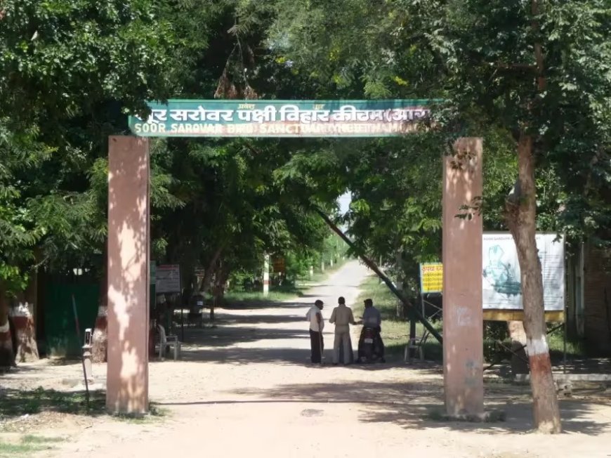 सूर सरोवर पक्षी विहार प्रकरण में वन विभाग की मनमानी से हुई सरकार की किरकिरी, अब तय हो रही अफसरों की जिम्मेदारी, आगरा की डीएफओ चांदनी सिंह को पहले ही हटाया जा चुका, सीईसी में डॉ. शरद गुप्ता ने सभी जिम्मेदार अधिकारियों की जांच की उठाई मांग, नए नोटिफिकेशन के लिए मिला आठ सप्ताह का समय