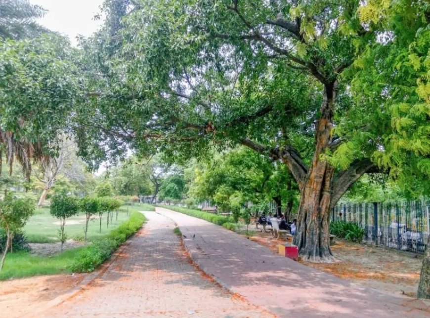 पालीवाल पार्क के अमरूद बाग पर साजिश का आरोप, भू-माफिया कनेक्शन की जांच और दोबारा पौधरोपण की उठी मांग