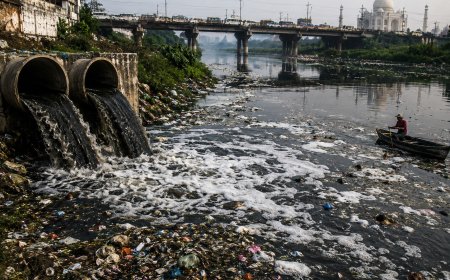 दिल्ली-हरियाणा की गंदगी का बोझ, भुगत रहे आगरा और ब्रज मंडलः यमुना कब तक राजधानी और उसके पड़ोसी राज्यों का सीवर बनी रहेगी?