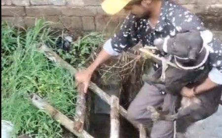 आगरा में गहरे गड्ढे में गिरे बेजुबान डॊगी को कैस्पर होम वॊलंटियर ने बचा लिया