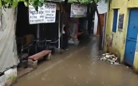आगरा बारिश से बेहाल: दीवानी कचहरी बनी दरिया, नगला हरमुख और महावीर नगर जलमग्न, खिड़की काले खां में 100 साल पुराना पेड़ गिरा, अधिवक्ताओं ने आंदोलन की चेतावनी दी