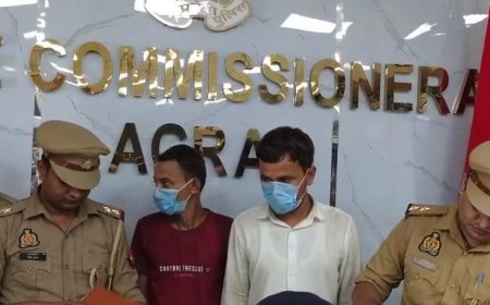पुष्पा स्टाइल में भूसे के नीचे छिपी थी शराब की खेप, 45 लाख की 415 पेटी बरामद