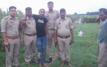 बरेली में गोवंश के वध से पहले जा पहुंची पुलिस, मुठभेड़ में दो आरोपी घायल; कुल चार गिरफ्तार