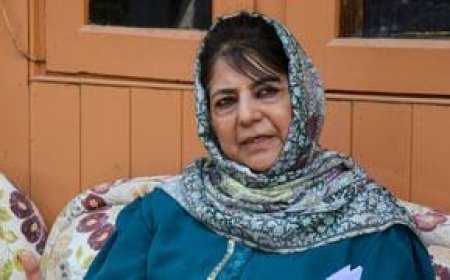 सर्जियो गोर के बयान पर महबूबा बोलीं-  वे हमारे मालिक नहीं,  इसका हल अमेरिका नहीं कर सकता