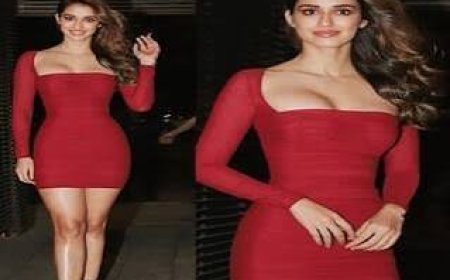 दिशा पाटनी ने फ्लाप फिल्मों का बनाया रिकार्ड, अब  'आवारापन 2' बनी टर्निंग पॉइंट,  मार ली 1000 क्लब में एंट्री