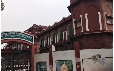 डॊ. आंबेडकर विश्वविद्यालय में भ्रष्टाचार अनियमितताओं और अभिलेखों में हेरफेर के आरोप, कुलपति-कुलसचिव समेत 11 के खिलाफ आगरा की अदालत में परिवाद दर्ज
