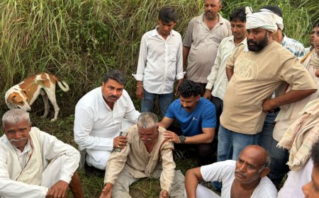 आगरा में किरावली क्षेत्र के चैंकोरा गांव में खारी नदी पर बड़ा हादसा: जलकुम्भी के जाल में फंसीं 18 भैंसों की दर्दनाक मौत, खनन से बने गहरे गड्ढों में समा गये बेजुबान जानवर