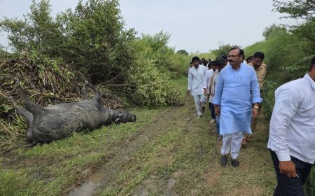 खारी नदी में भैंसों की मौत के बाद सांसद राजकुमार चाहर ने पीड़ित परिवारों को दिया मदद का भरोसा