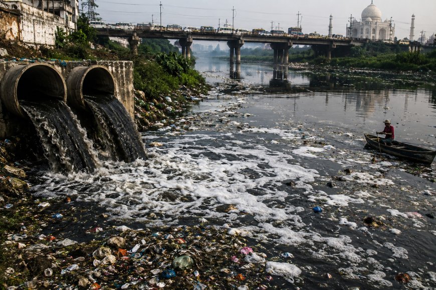 दिल्ली-हरियाणा की गंदगी का बोझ, भुगत रहे आगरा और ब्रज मंडलः यमुना कब तक राजधानी और उसके पड़ोसी राज्यों का सीवर बनी रहेगी?