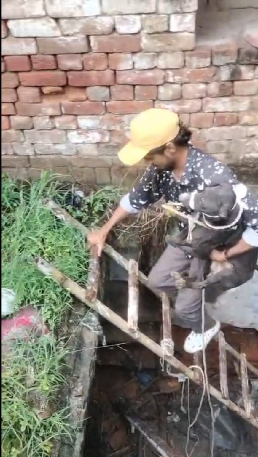 आगरा में गहरे गड्ढे में गिरे बेजुबान डॊगी को कैस्पर होम वॊलंटियर ने बचा लिया