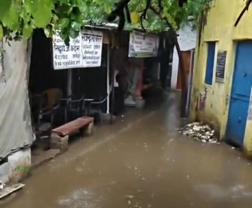 आगरा बारिश से बेहाल: दीवानी कचहरी बनी दरिया, नगला हरमुख और महावीर नगर जलमग्न, खिड़की काले खां में 100 साल पुराना पेड़ गिरा, अधिवक्ताओं ने आंदोलन की चेतावनी दी
