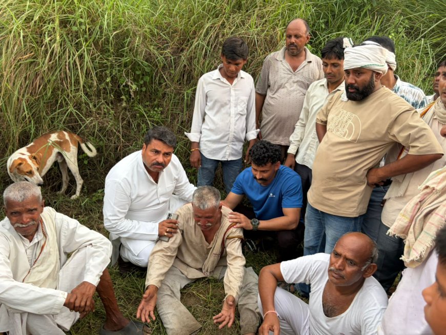 आगरा में किरावली क्षेत्र के चैंकोरा गांव में खारी नदी पर बड़ा हादसा: जलकुम्भी के जाल में फंसीं 18 भैंसों की दर्दनाक मौत, खनन से बने गहरे गड्ढों में समा गये बेजुबान जानवर